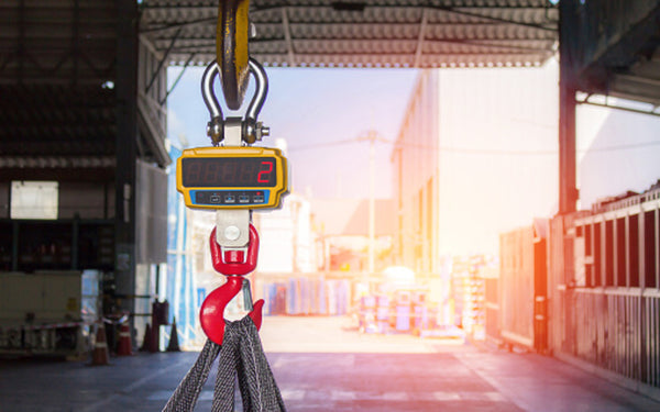Crane Scales