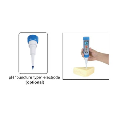 pH Probe Puncture Type (Διείσδυσης)