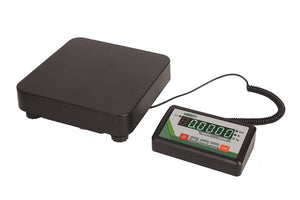 Platform Scale