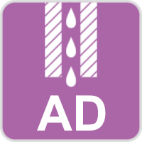 AD