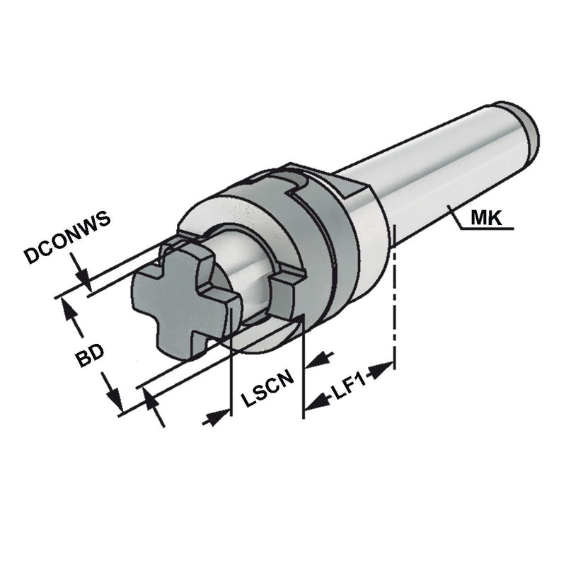 Κώνος Φρεζοκεφαλής Morse - Image 2