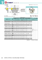 Φρεζοκεφαλές 45° Ξεχοντρίσματος Echain