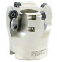 Φρεζοκεφαλές με στρογγυλό πλακίδιο