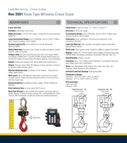 Γερανοζυγός εώς 30 τόνους με τηλεχειριστήριο Eilon